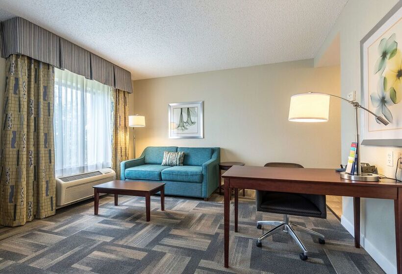 Отель Hampton Inn & Suites Orlando South Lake Buena Vista
