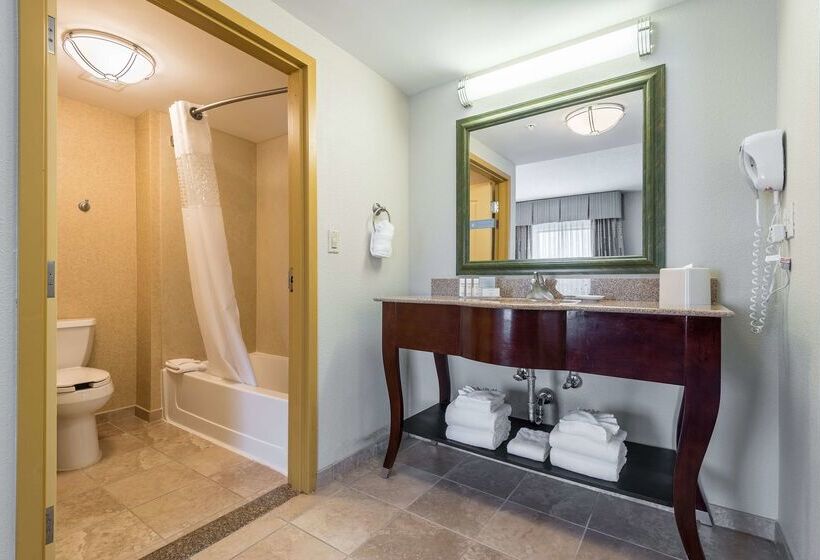 Отель Hampton Inn & Suites Orlando South Lake Buena Vista