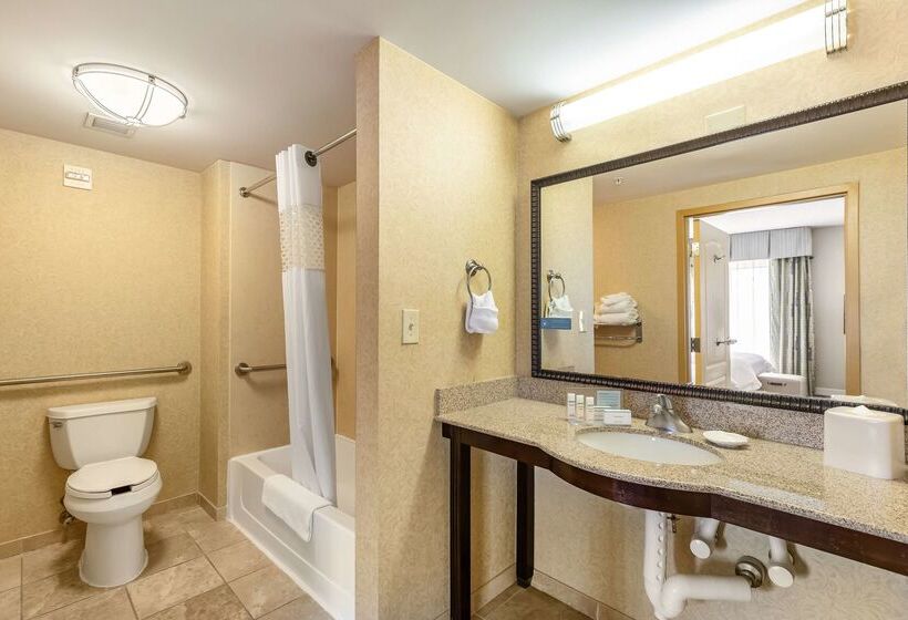 Отель Hampton Inn & Suites Orlando South Lake Buena Vista