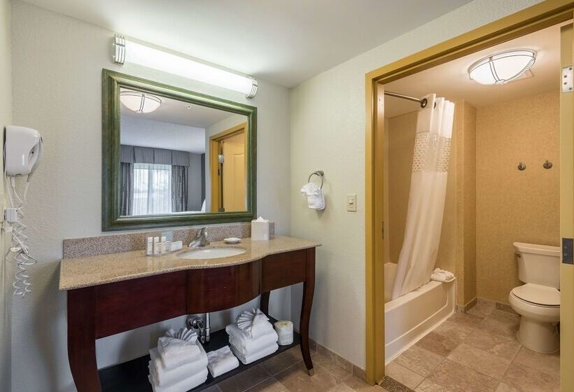 Отель Hampton Inn & Suites Orlando South Lake Buena Vista