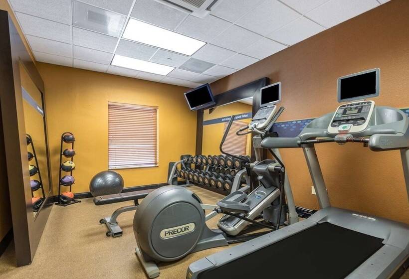 Отель Hampton Inn & Suites Orlando South Lake Buena Vista