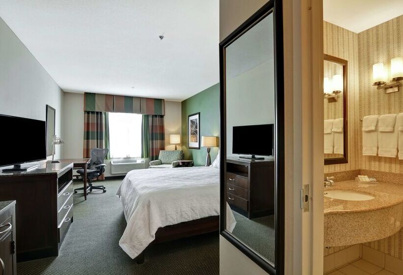 فندق Hilton Garden Inn Green Bay