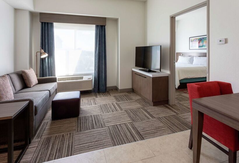 ホテル Hilton Garden Inn Minneapolis/bloomington