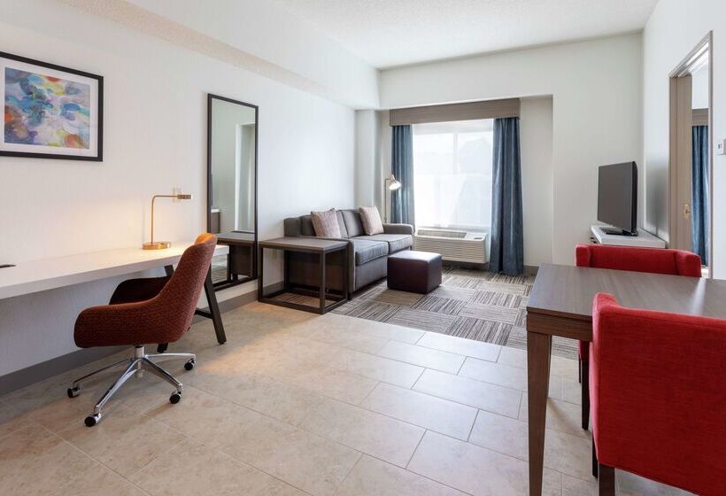 ホテル Hilton Garden Inn Minneapolis/bloomington