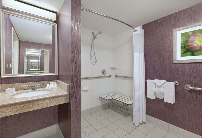 ホテル Hilton Garden Inn Springfield, Ma