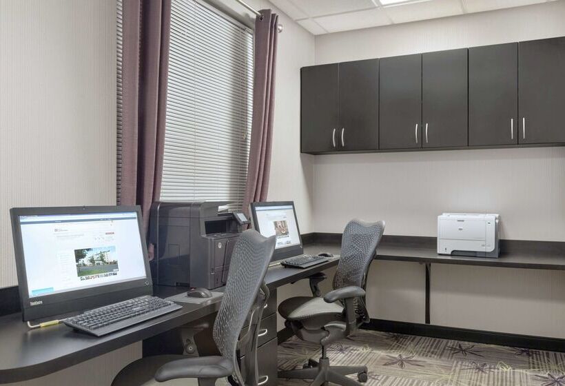 ホテル Hilton Garden Inn Springfield, Ma