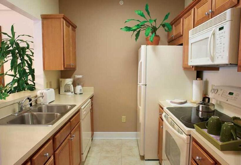 בית מלון כפרי King S Creek Resort By Endless Resorts