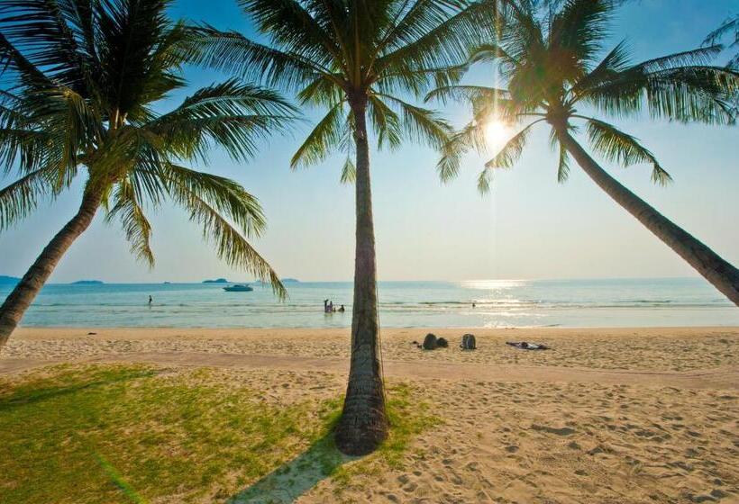 Hotel Klong Prao Resort   Sha Extra Plus