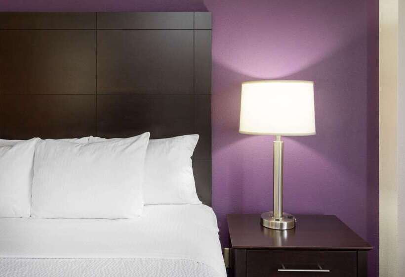 酒店 La Quinta By Wyndham Minneapolis Bloomington W   Free Airport Shuttle