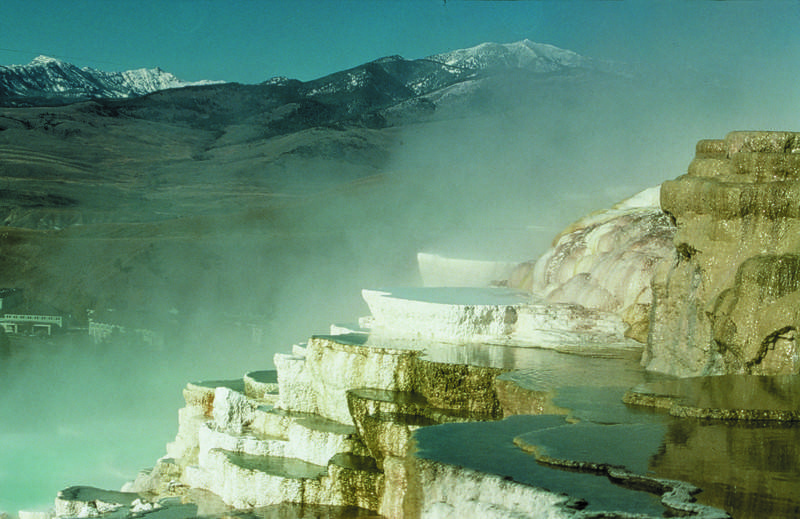 فندق Mammoth Hot Springs & Cabins   Inside The Park