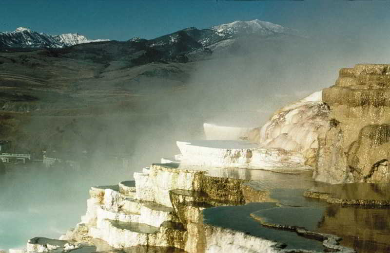 فندق Mammoth Hot Springs & Cabins   Inside The Park