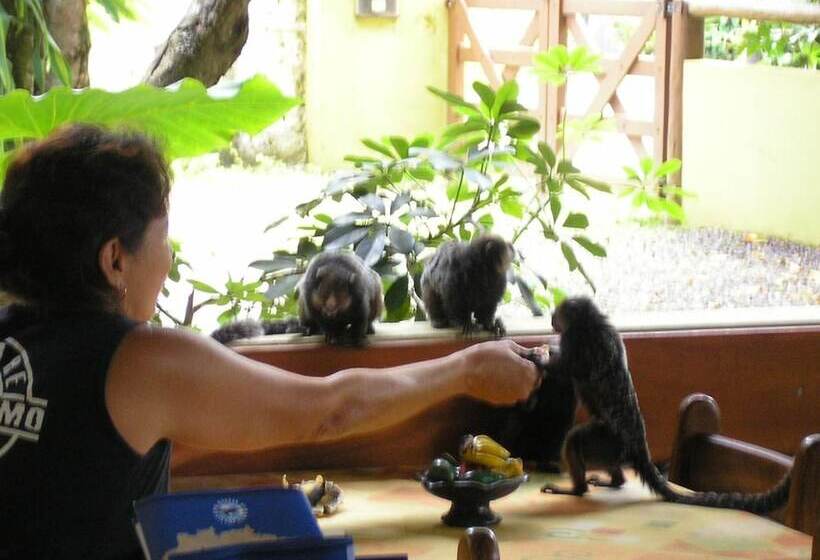 Отель Pousada Solarium