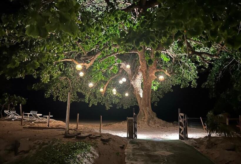 호텔 Pousada Tatiba