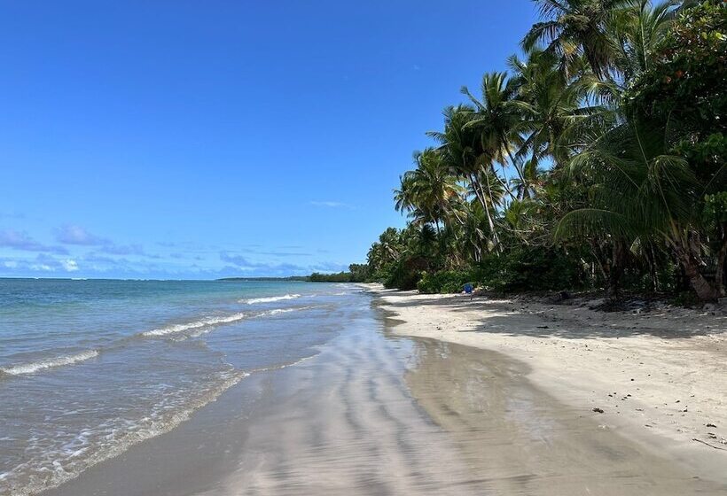 호텔 Pousada Tatiba