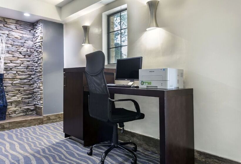 בית מלון כפרי Quality Inn & Suites Airport