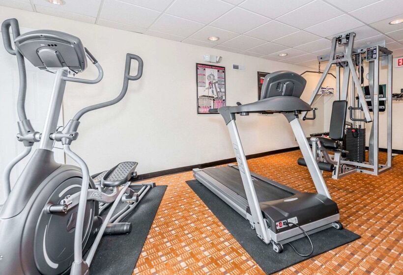 בית מלון כפרי Baymont By Wyndham Indianapolis East