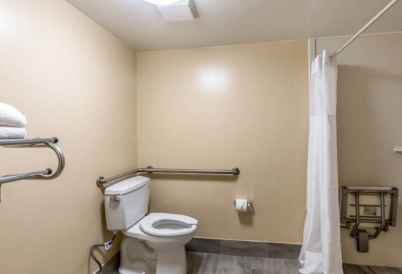 בית מלון כפרי Quality Inn Palm Beach International Airport