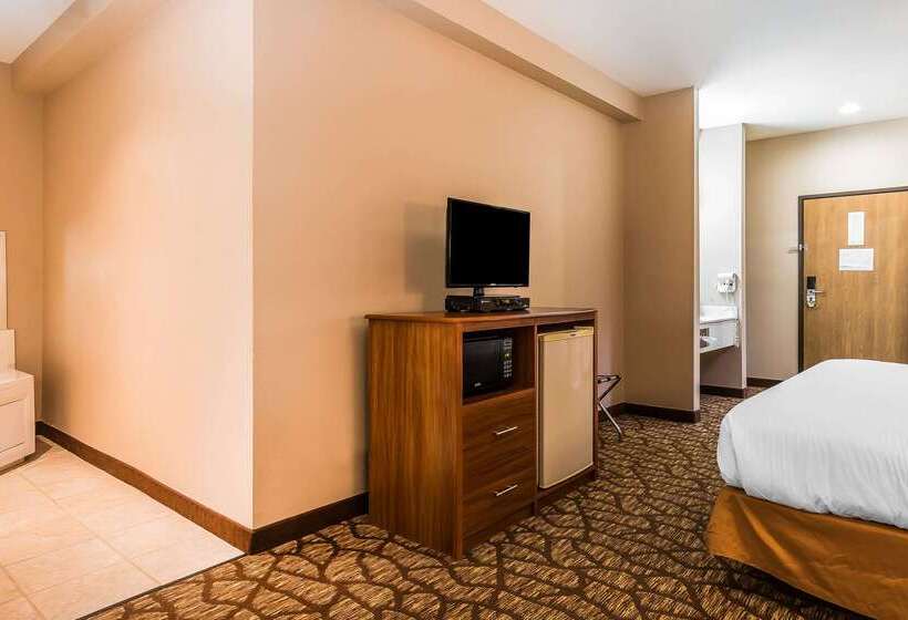 בית מלון כפרי Quality Inn & Suites Chesterfield Village