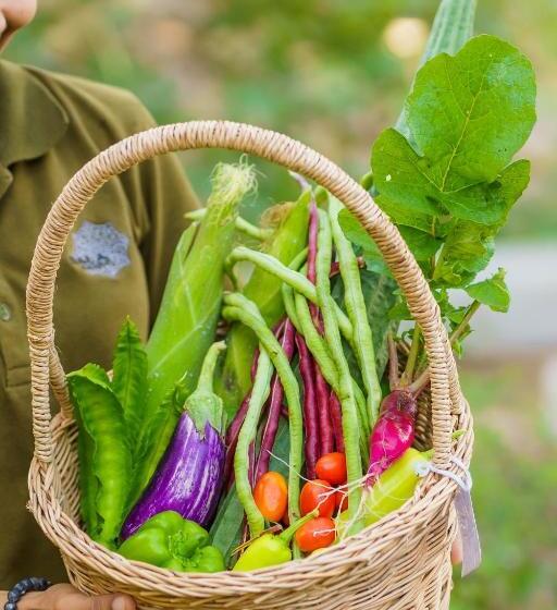 Отель Sala Phuket Mai Khao Beach Resort