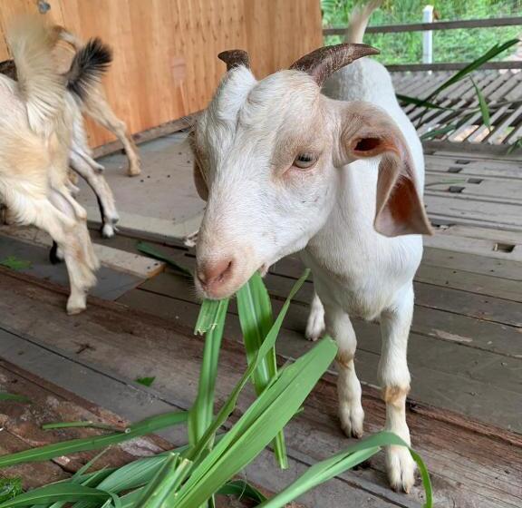 Отель Sala Phuket Mai Khao Beach Resort