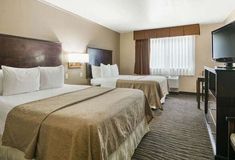 酒店 Best Western San Marcos