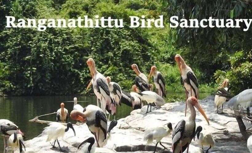 فندق Sandesh The Prince