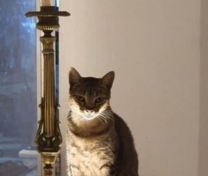 בית מלון כפרי Solar Das Artes Pousada Boutique  Morro