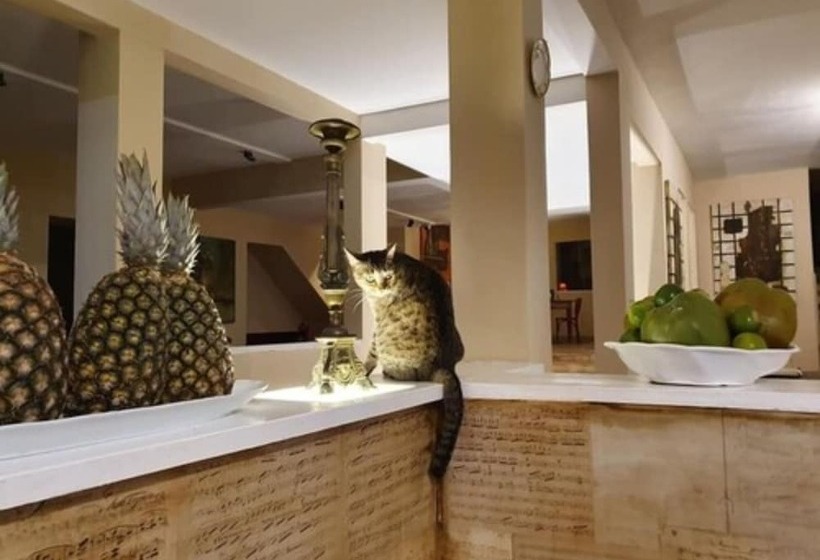 ホテル Solar Das Artes Pousada Boutique  Morro