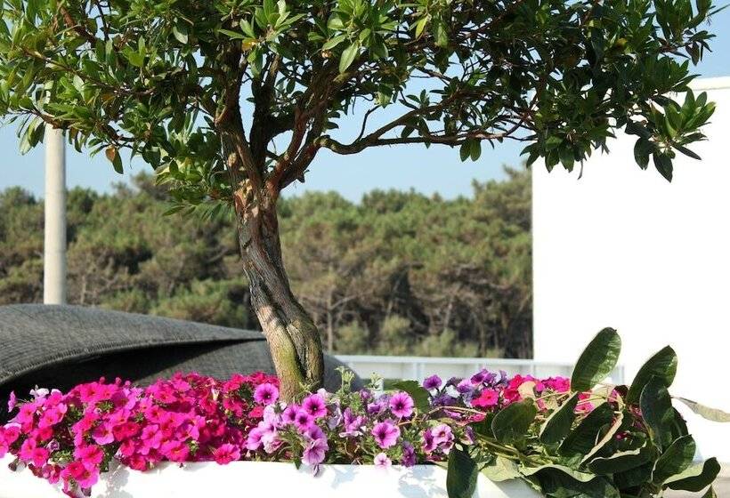 فندق Terme Beach Resort