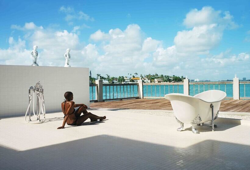 בית מלון כפרי The Standard Miami