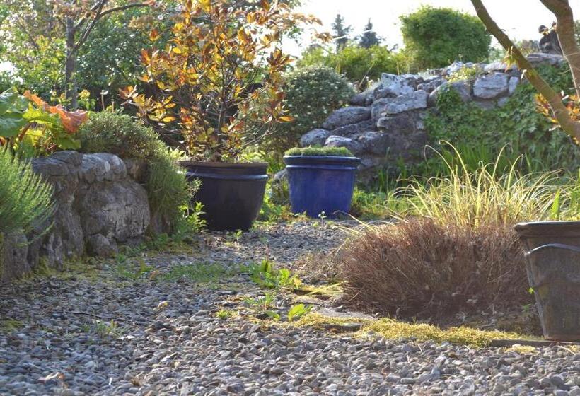 Отель Wild Honey Inn