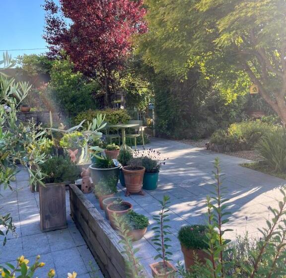 Отель Wild Honey Inn