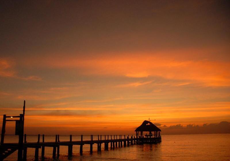 استراحتگاه Secrets Aura Cozumel   Adults Only