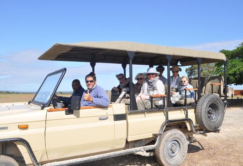 فندق De Hoop Campsite Rondawels