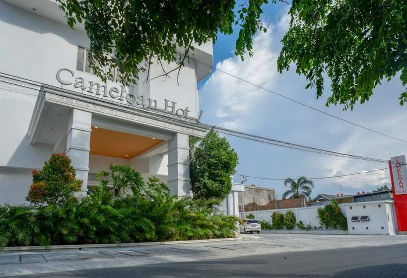 بنسيون Reddoorz Plus @ Cameloan Hotel Palu