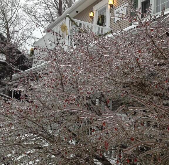 Acadia Hotel Downtown