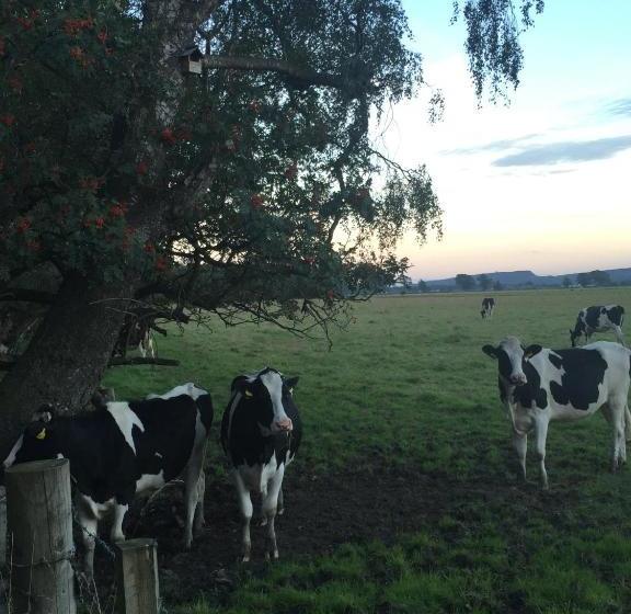 مبيت وإفطار Hillview Cottage