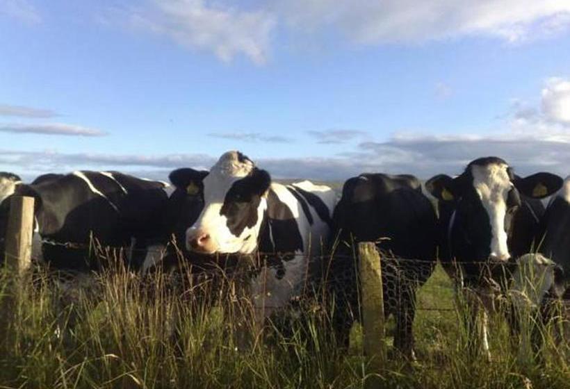 مبيت وإفطار Hillview Cottage