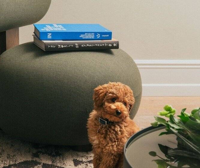 هتل Att I Kvadraturen