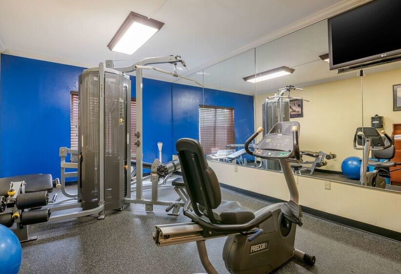 Best Western Plus Palm Beach Gardens Hotel & Suites And Conference Ct