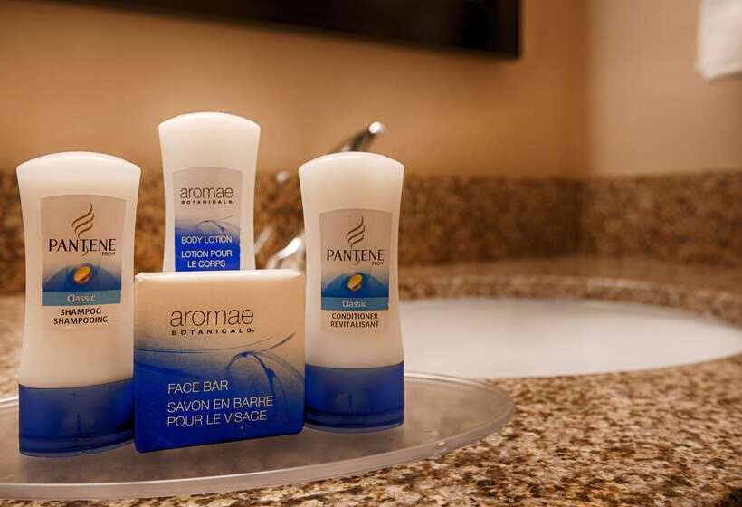 فندق Best Western  Plus Waltham Boston