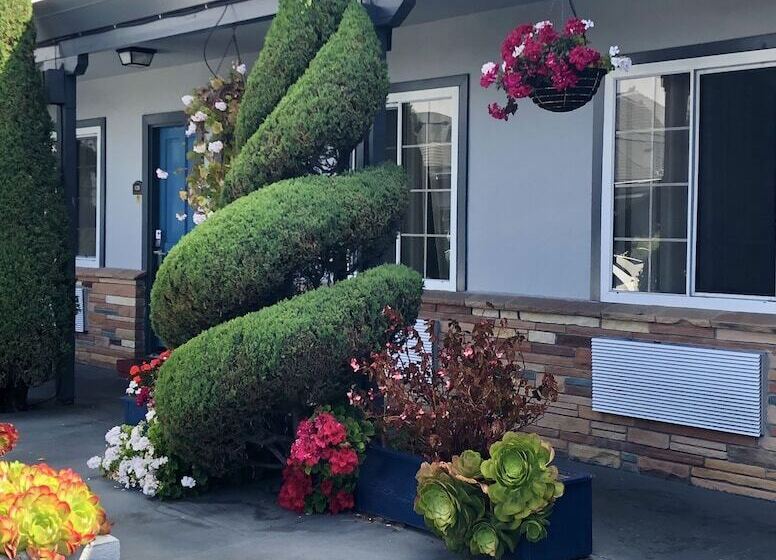 Отель Blu Pacific