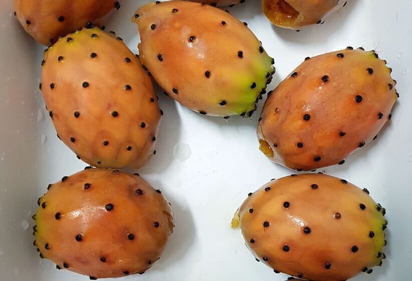 فندق Cambiocavallo Resort