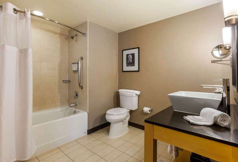 Cambria Hotel Ft Collins