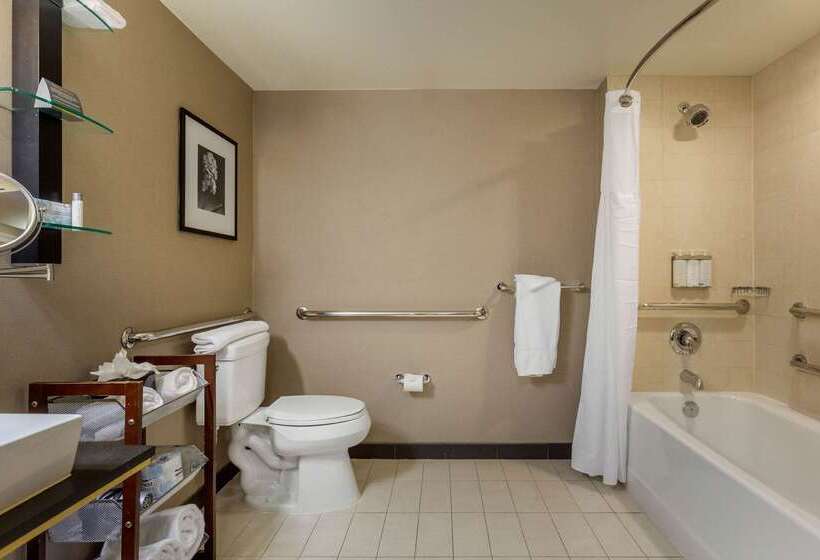 Cambria Hotel Ft Collins