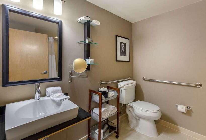 Cambria Hotel Ft Collins