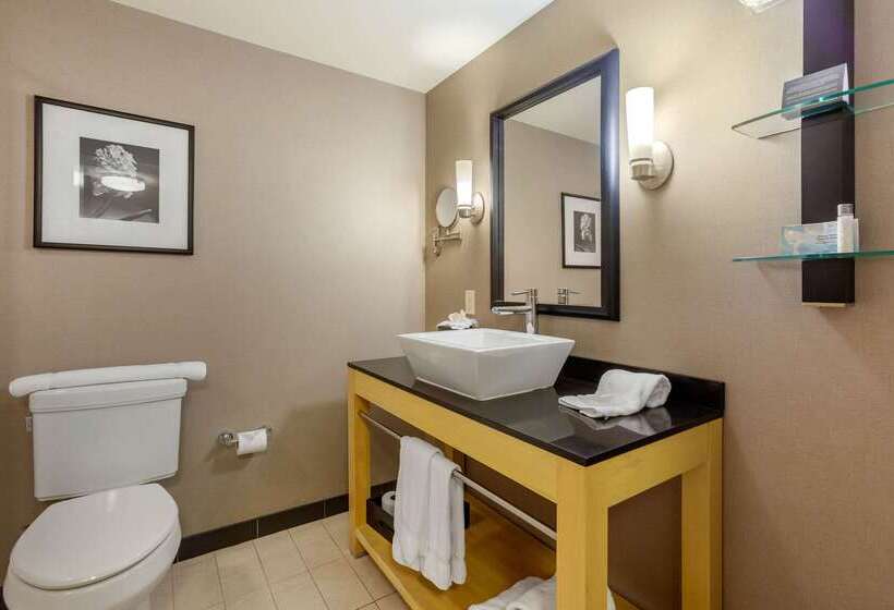 Cambria Hotel Ft Collins