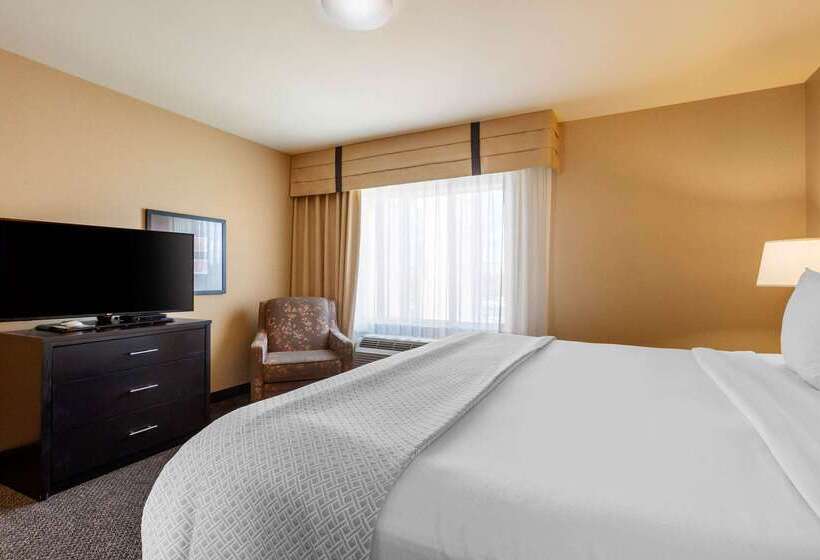 Cambria Hotel Ft Collins