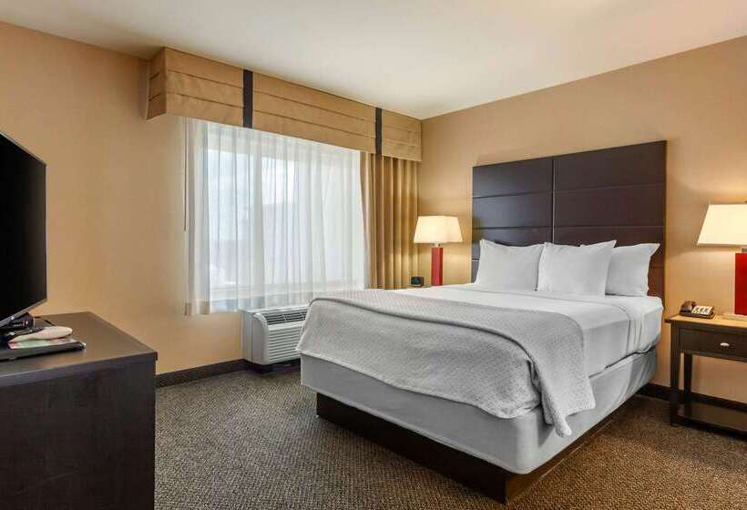 Cambria Hotel Ft Collins