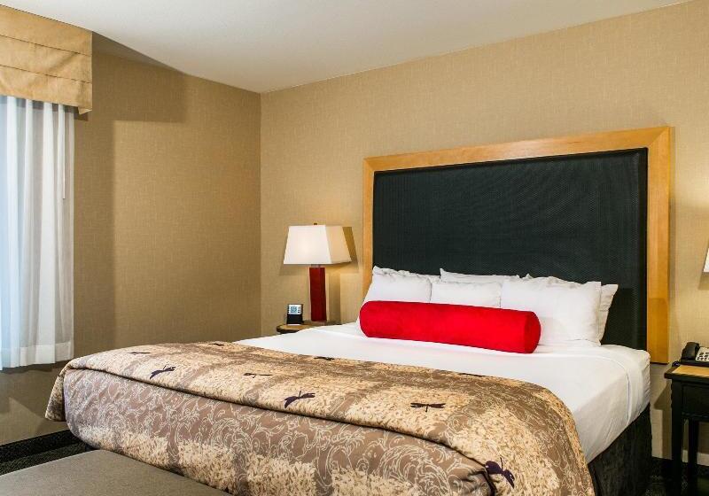 Cambria Hotel Ft Collins